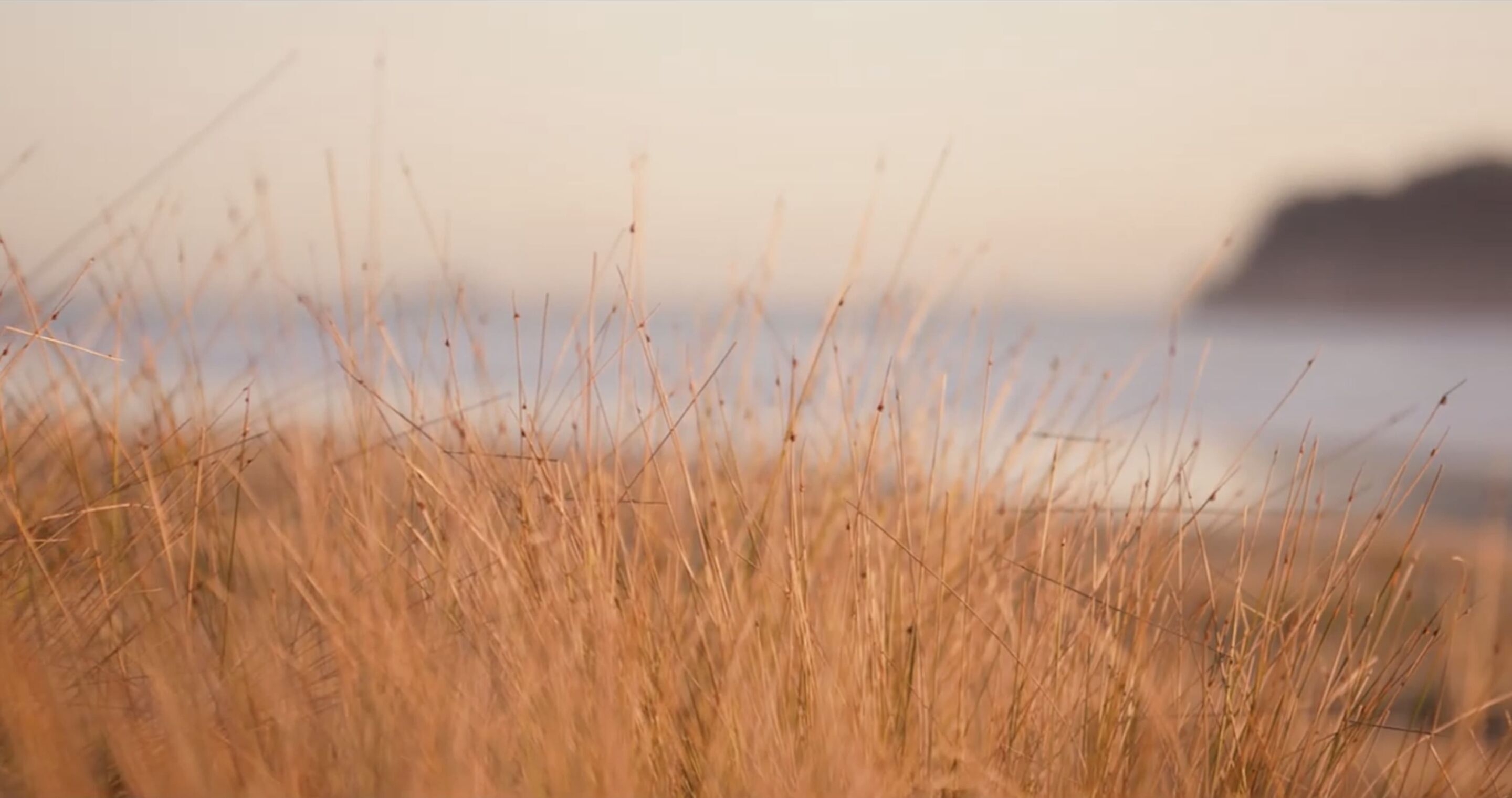 Sustainable Retirement Living Video